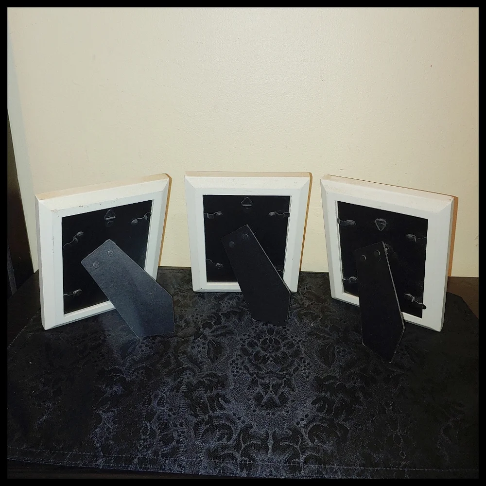 Set of 3 Matching Floral Prints in Table Top Frames